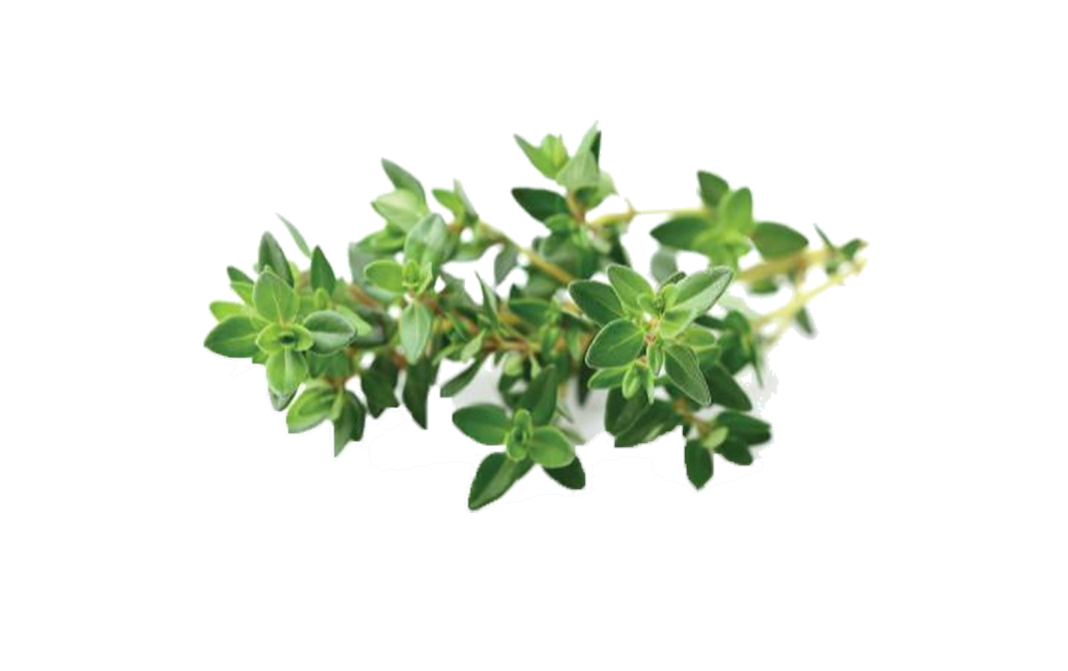 Simply Fresh Thyme-LH    Box  100 grams